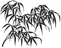 Bamboo 2